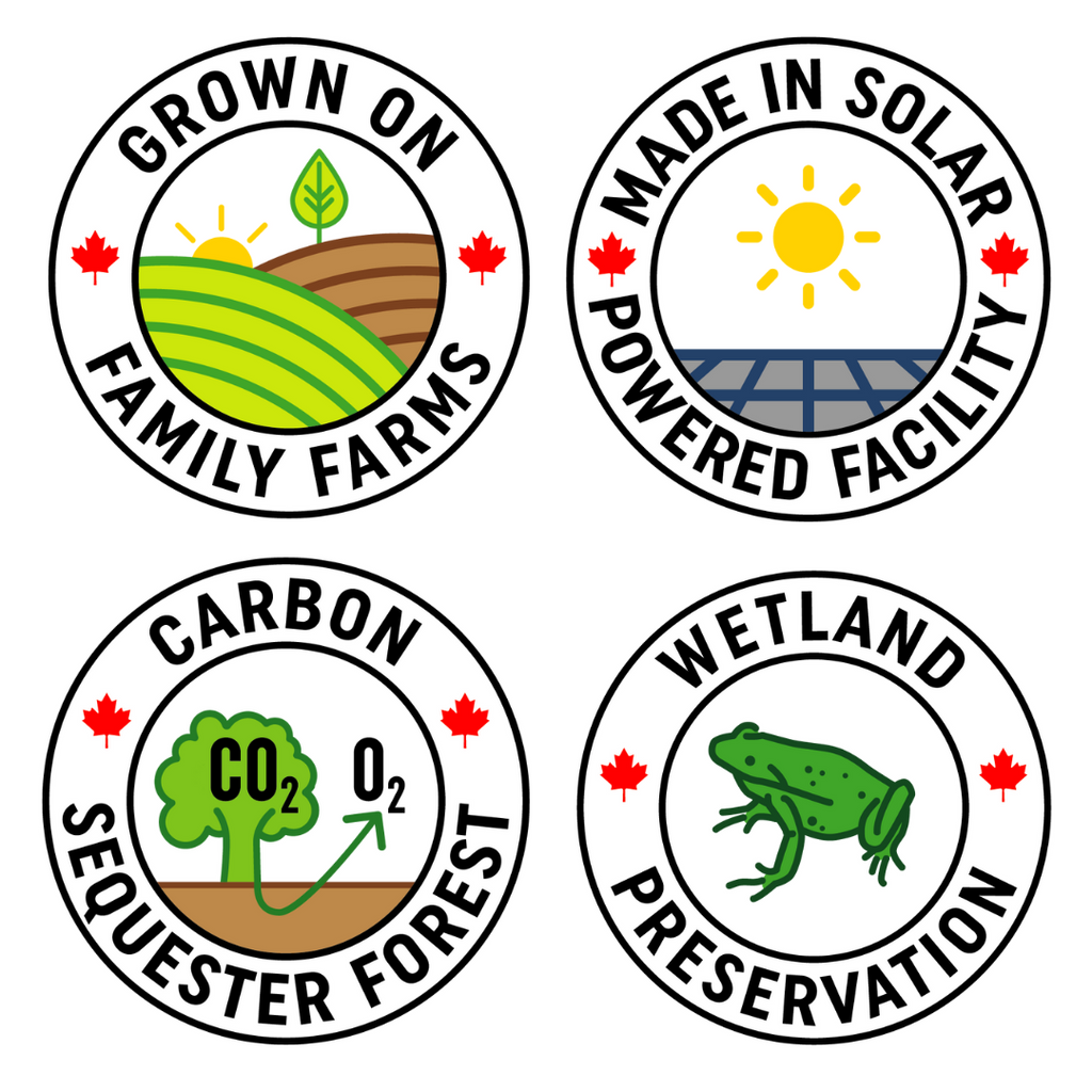 (Copy) Elegance and humor