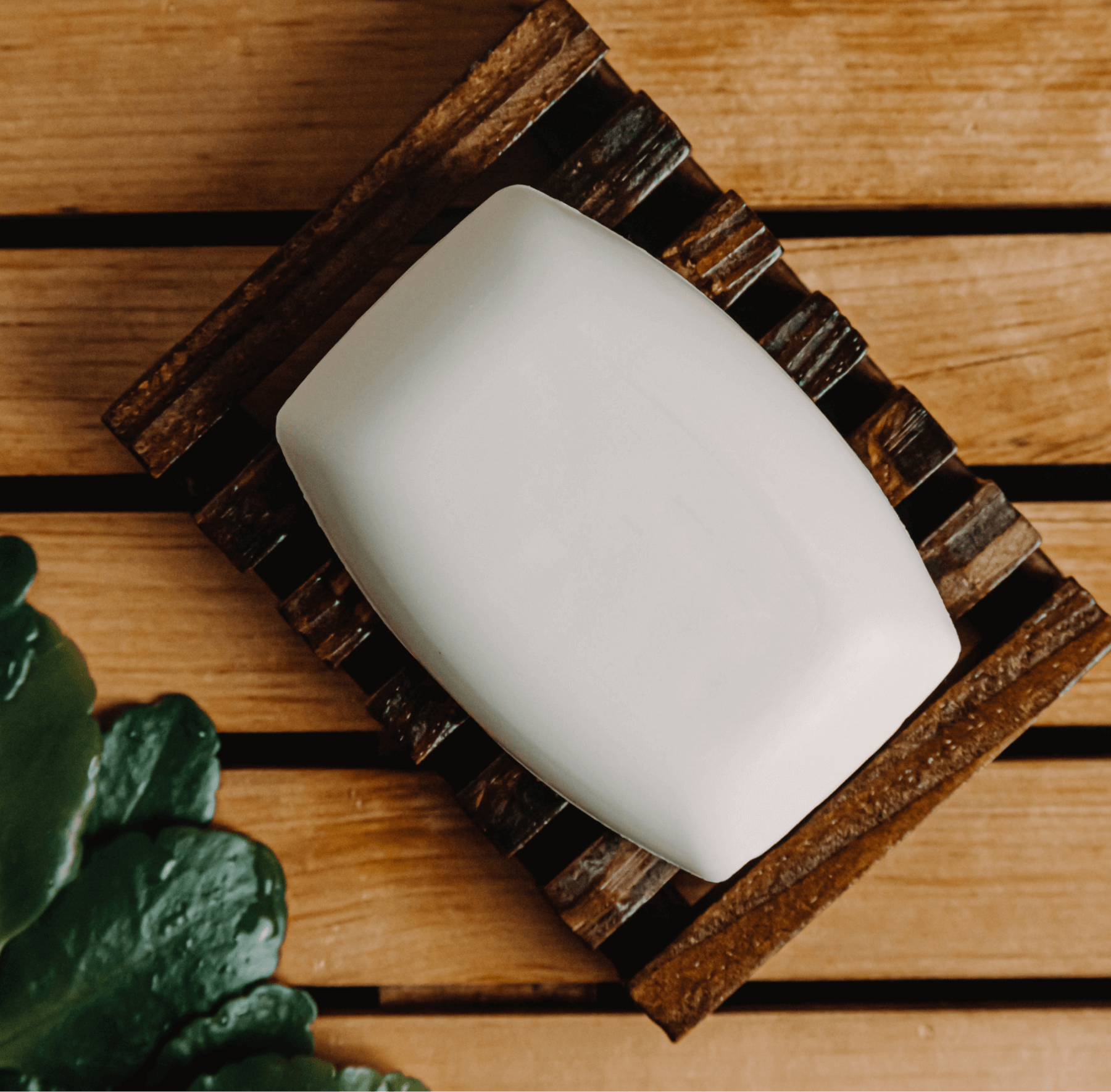 (Sample) Coconut Bar Soap (Copy)